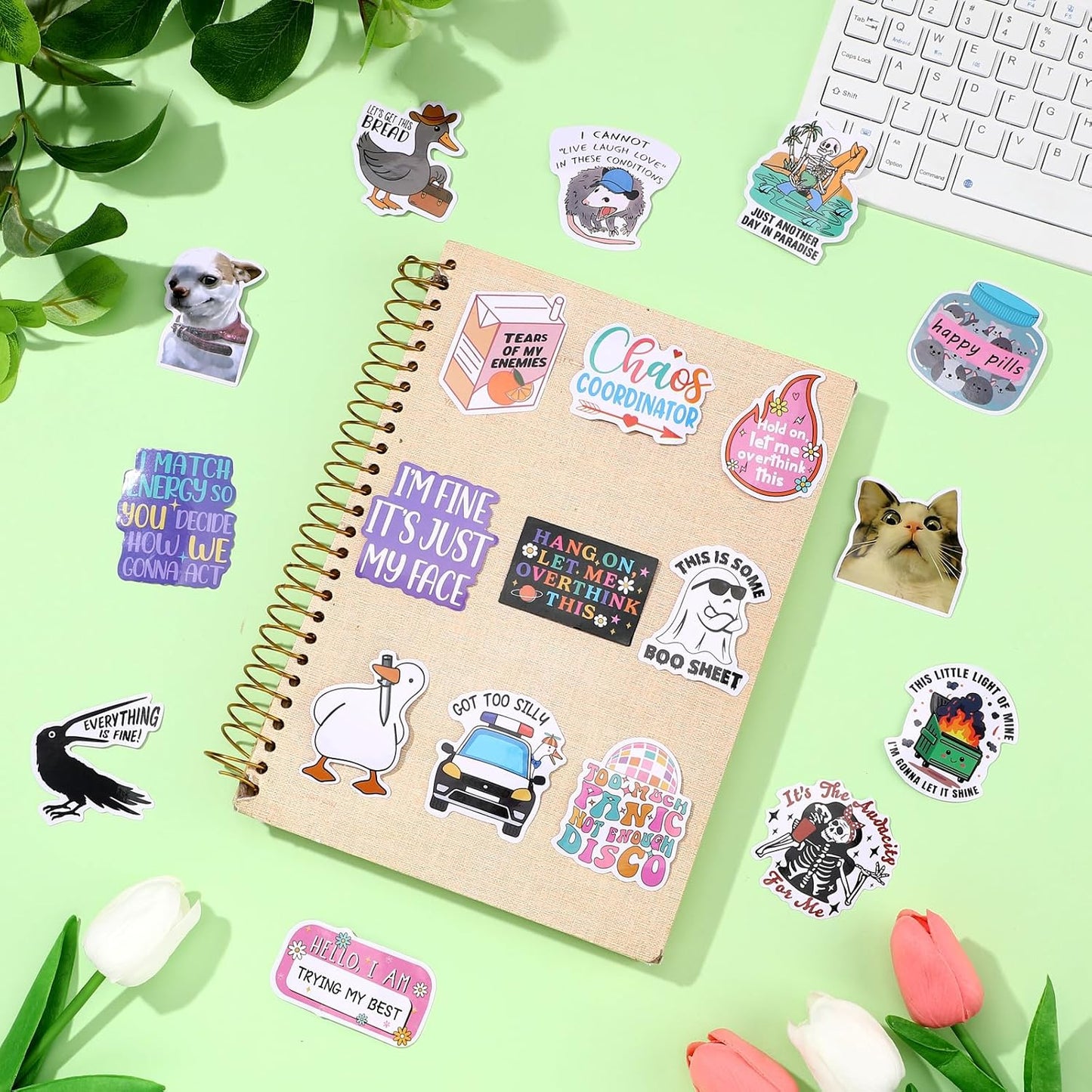 Funny Sticker Pack