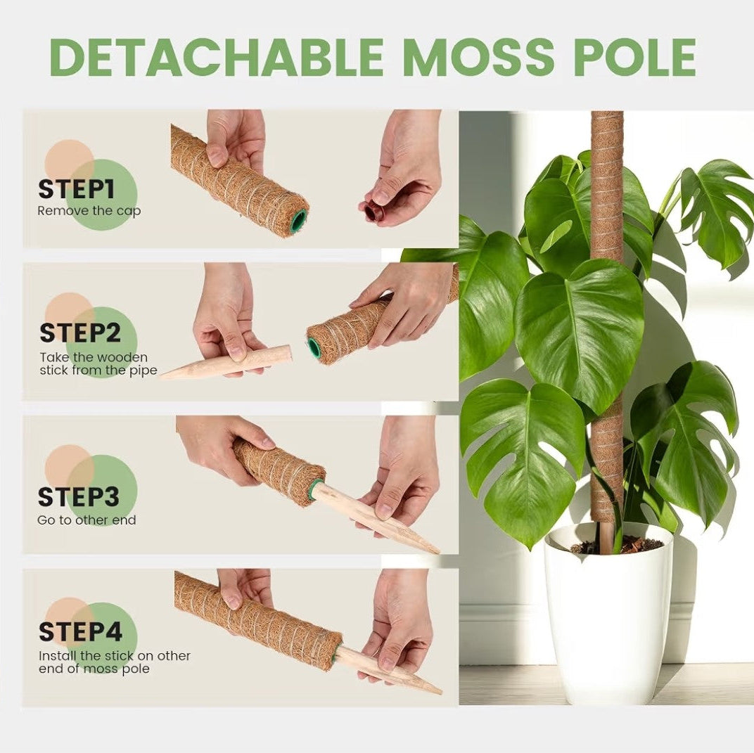 Coir Pole 12"